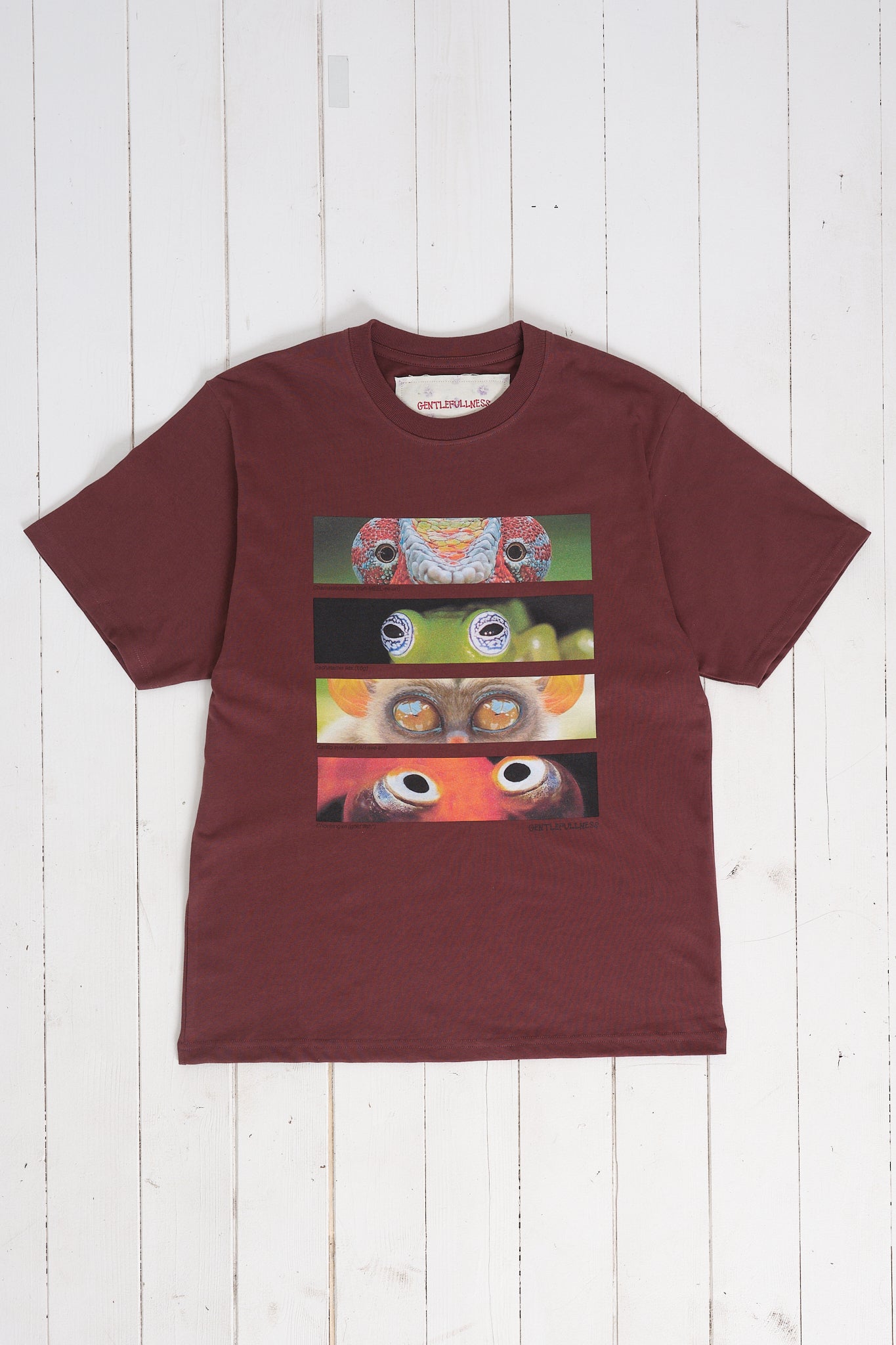 Recycled Cotton SS Tee - Chocolate Animal Eyes