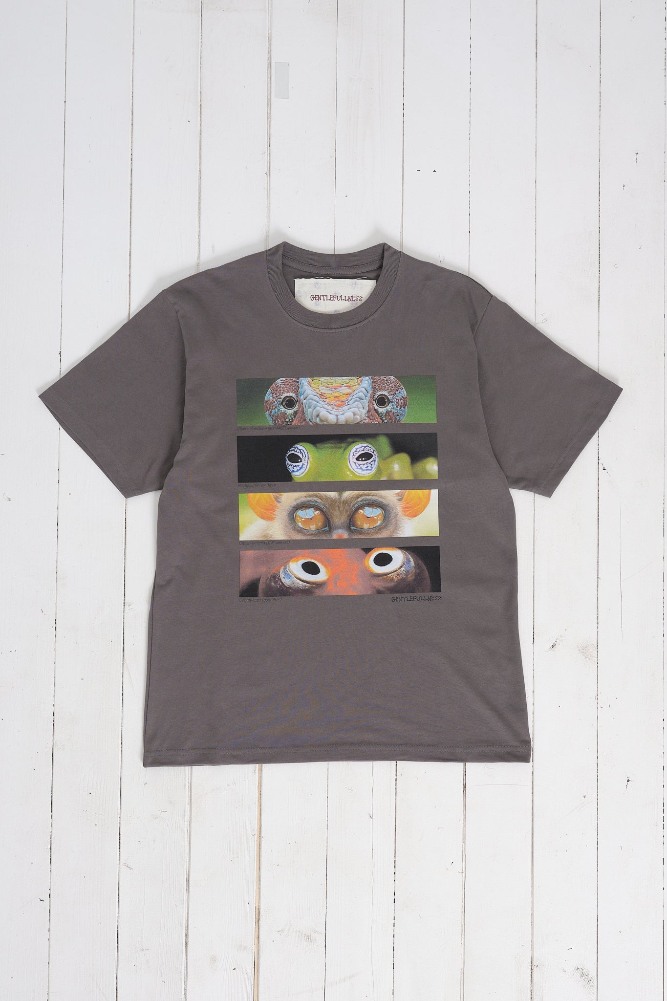 Recycled Cotton SS Tee - Washed Black Animal Eyes