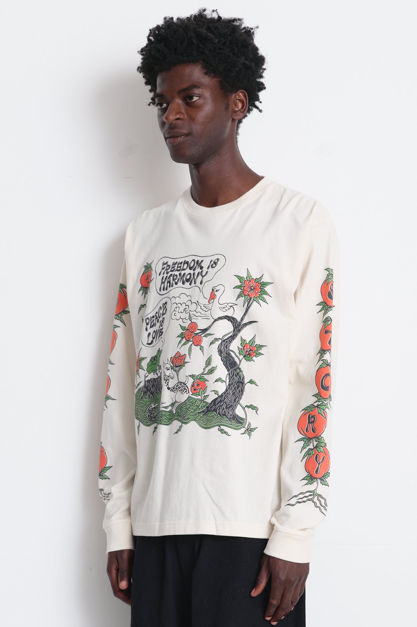 Grateful Tee LS - Freedom is Harmony
