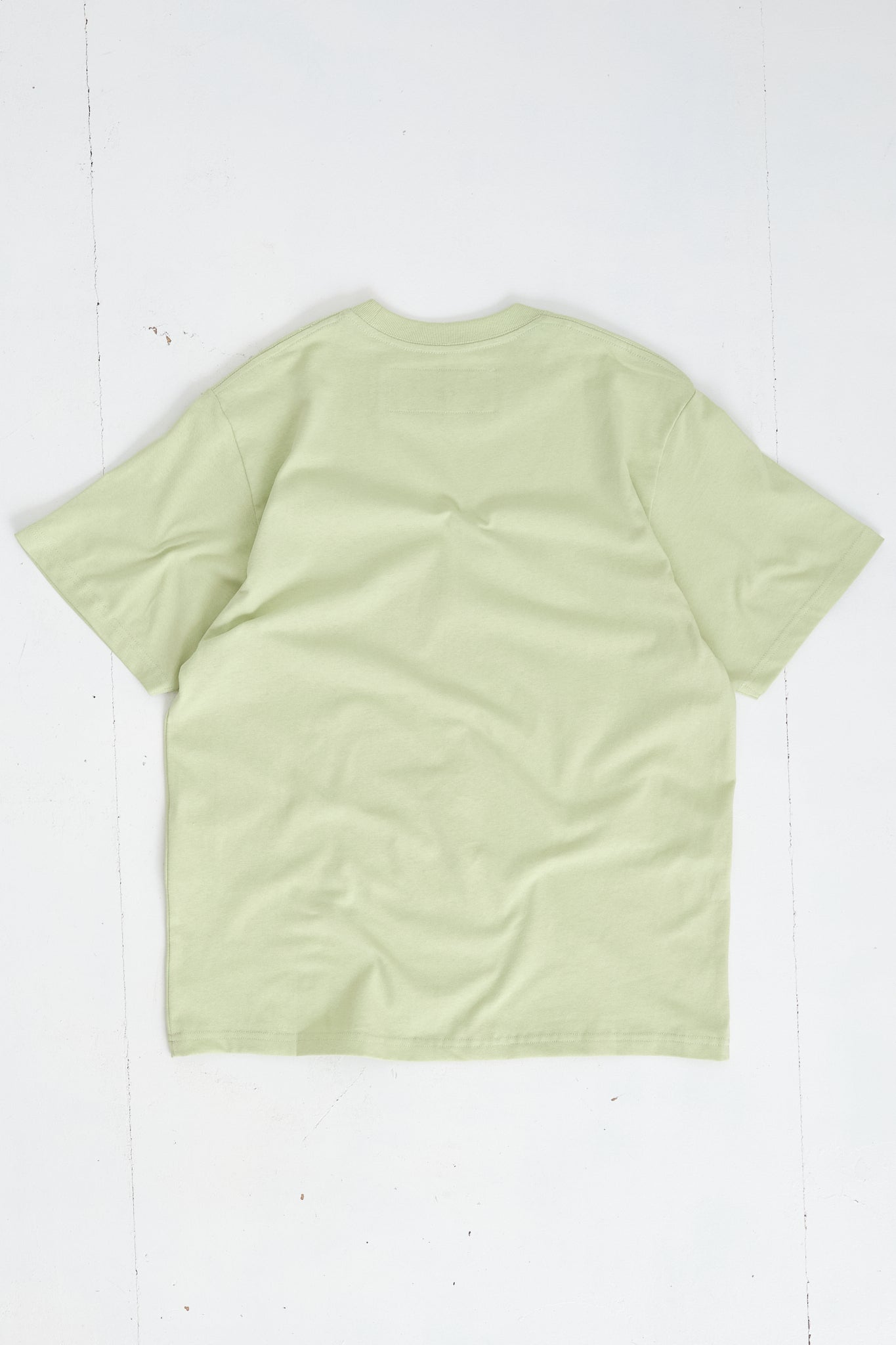 Recycled Cotton SS Tee - Pistachio Bugs