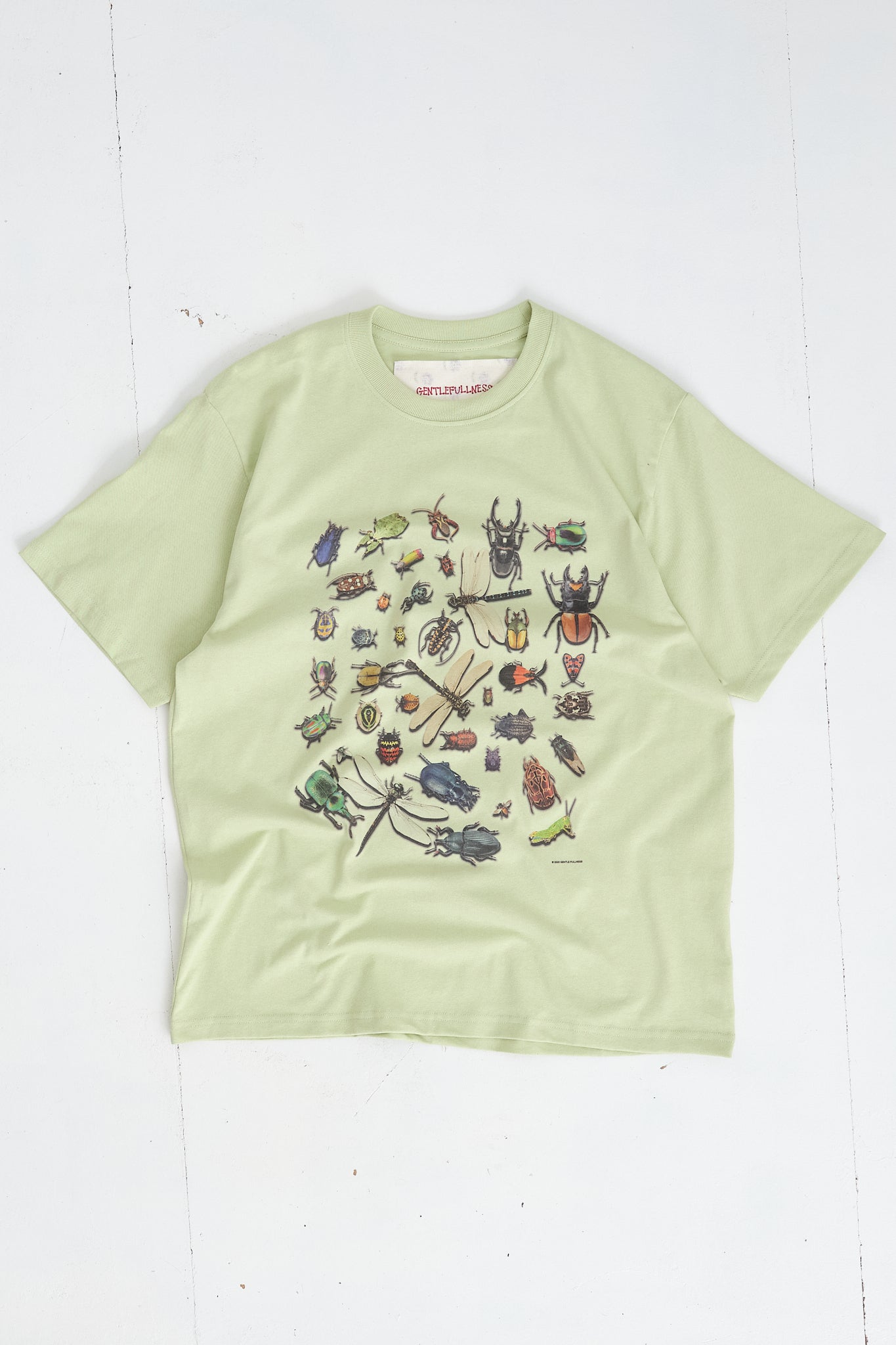 Recycled Cotton SS Tee - Pistachio Bugs