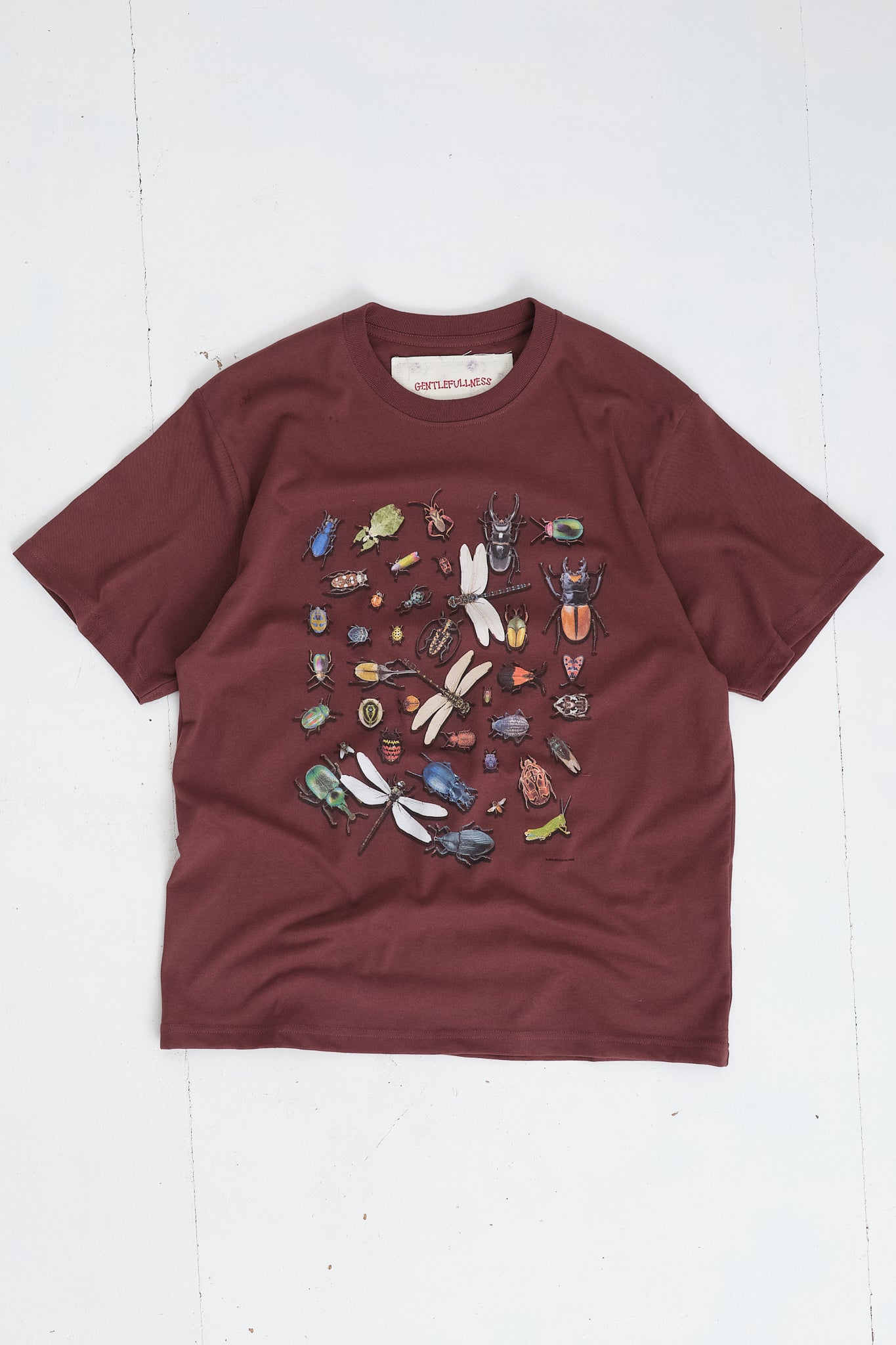Recycled Cotton SS Tee - Chocolate Bugs