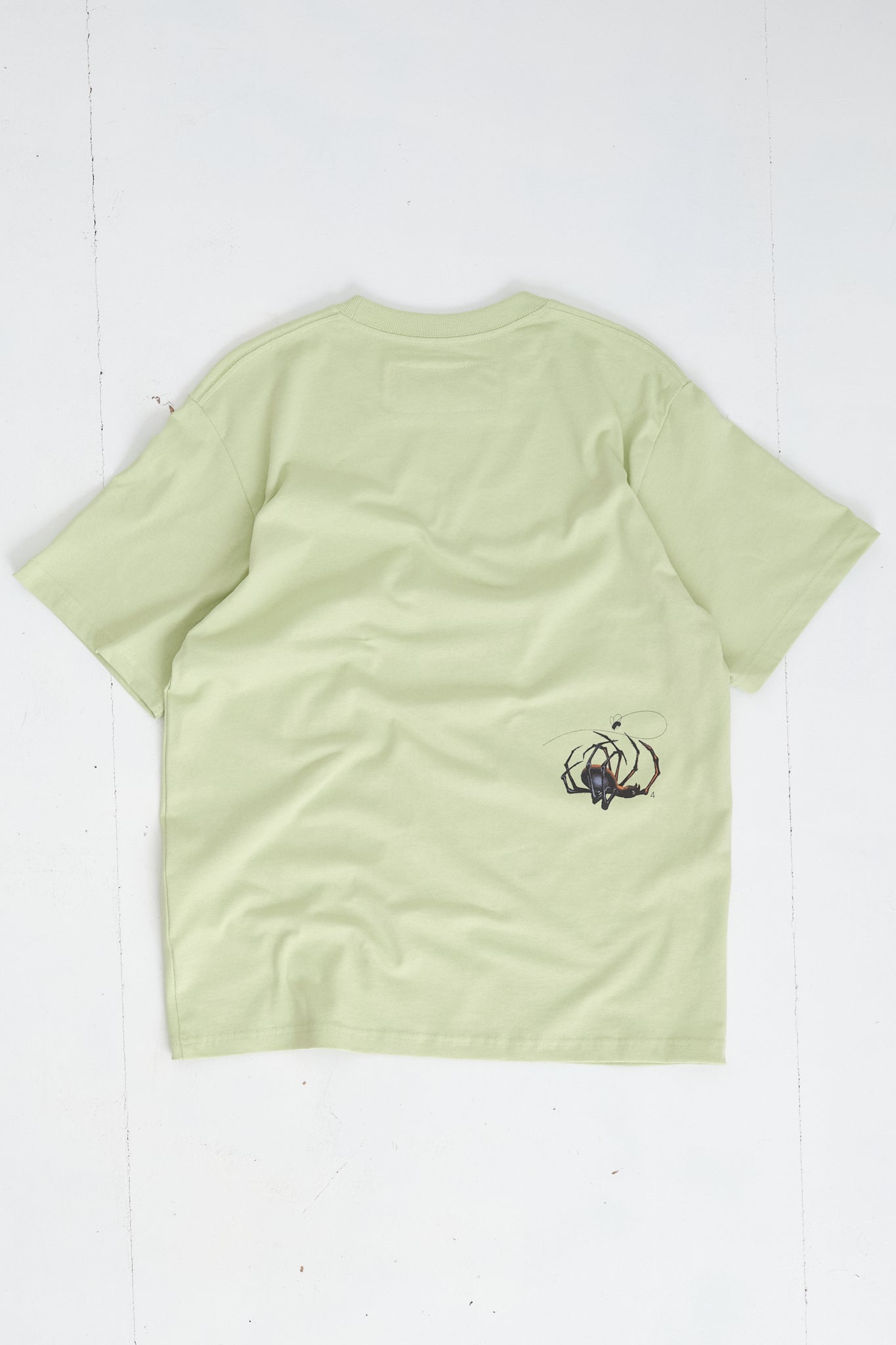 Recycled Cotton SS Tee - Pistachio G Spider