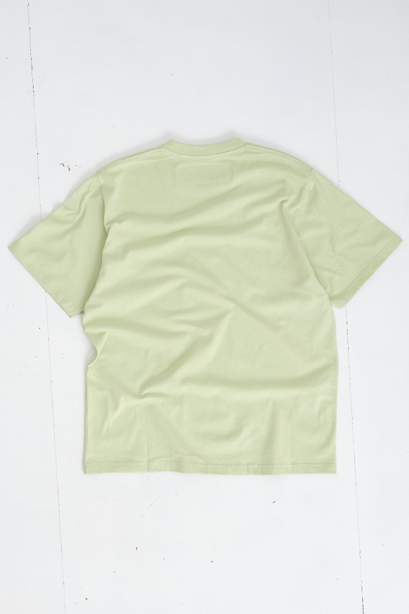 SS Cotton Pistachio Tee – Story Duckman Recycled -