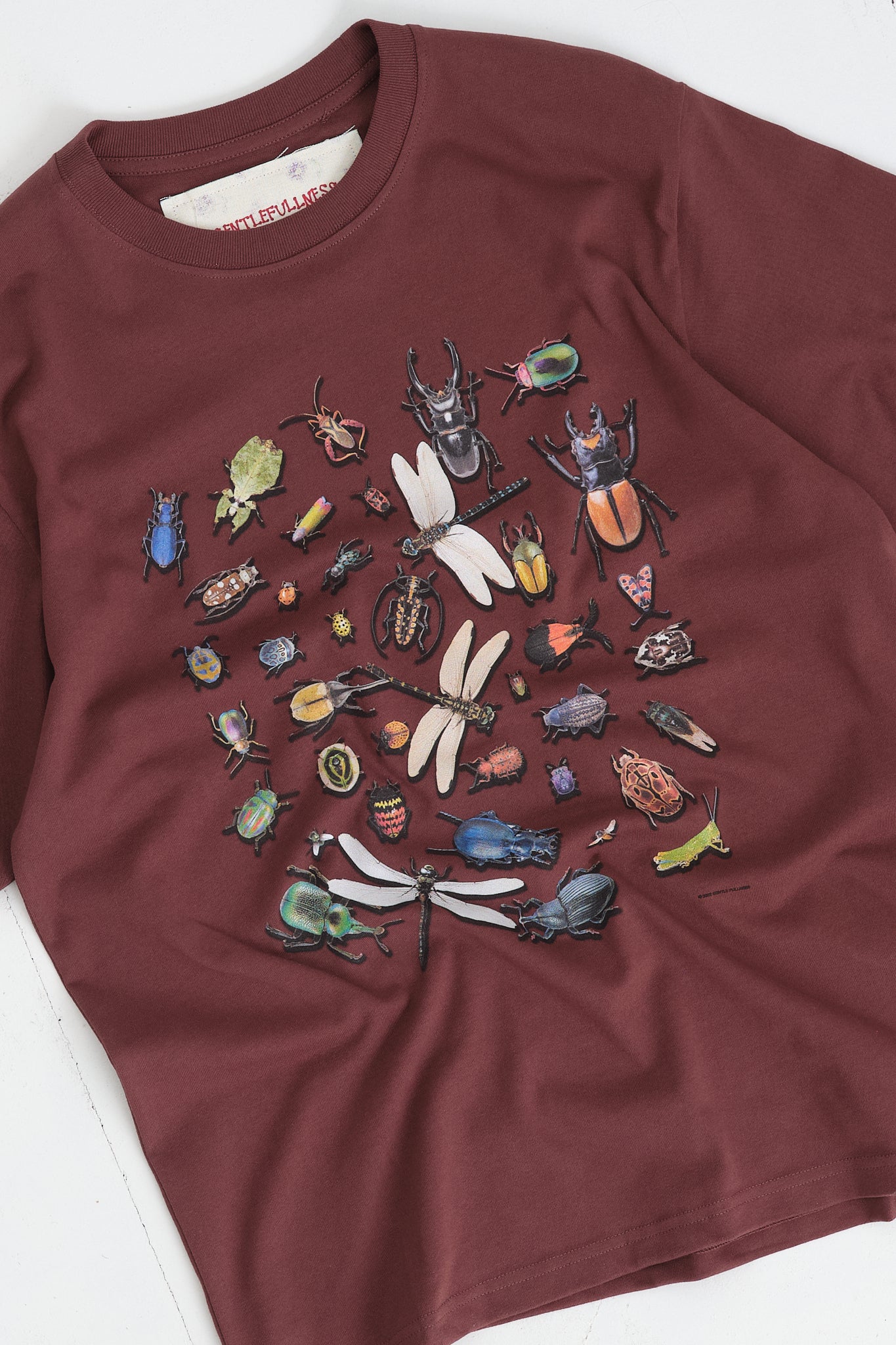 Recycled Cotton SS Tee - Chocolate Bugs