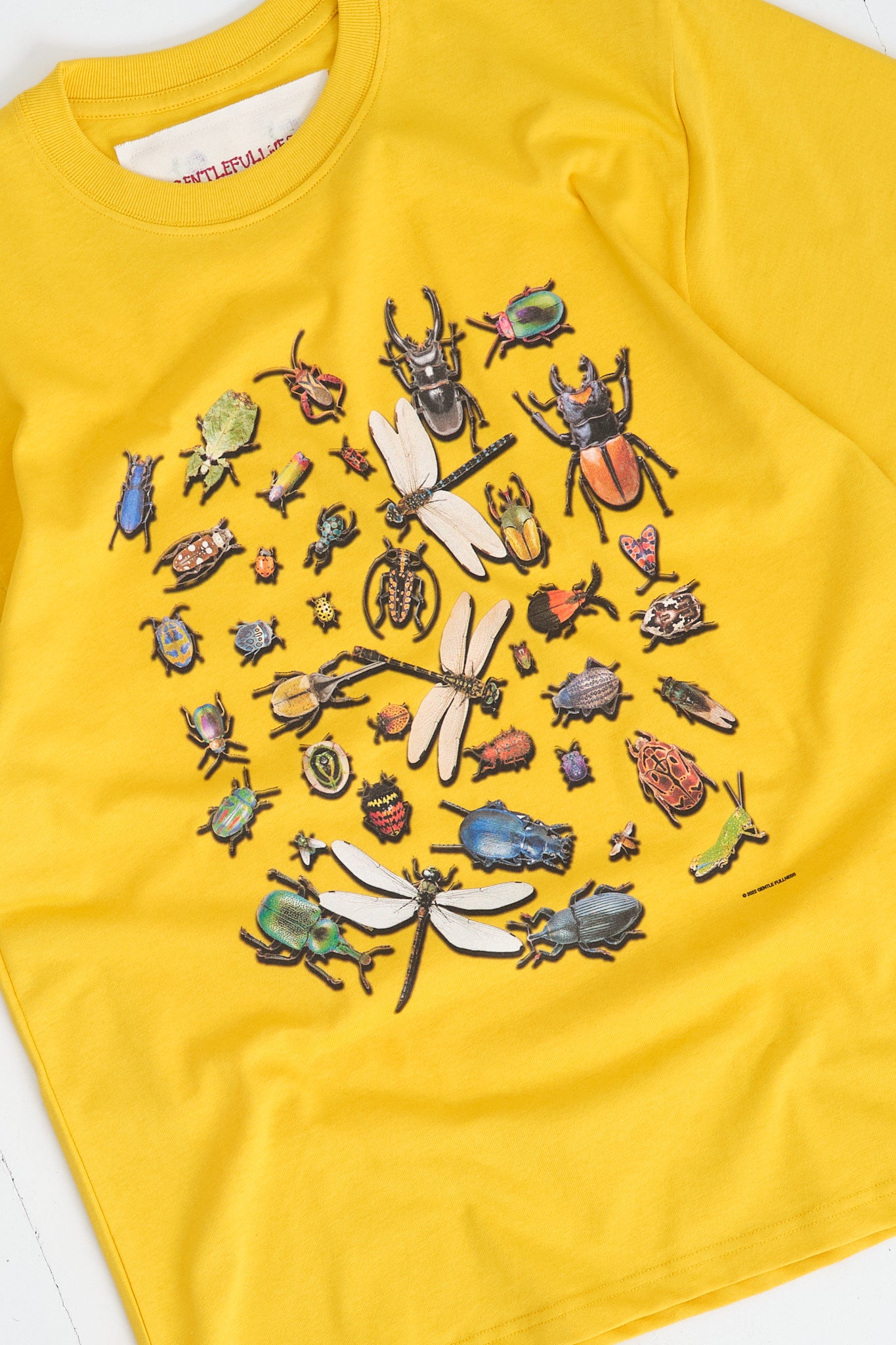 Recycled Cotton SS Tee - Lemon Bugs