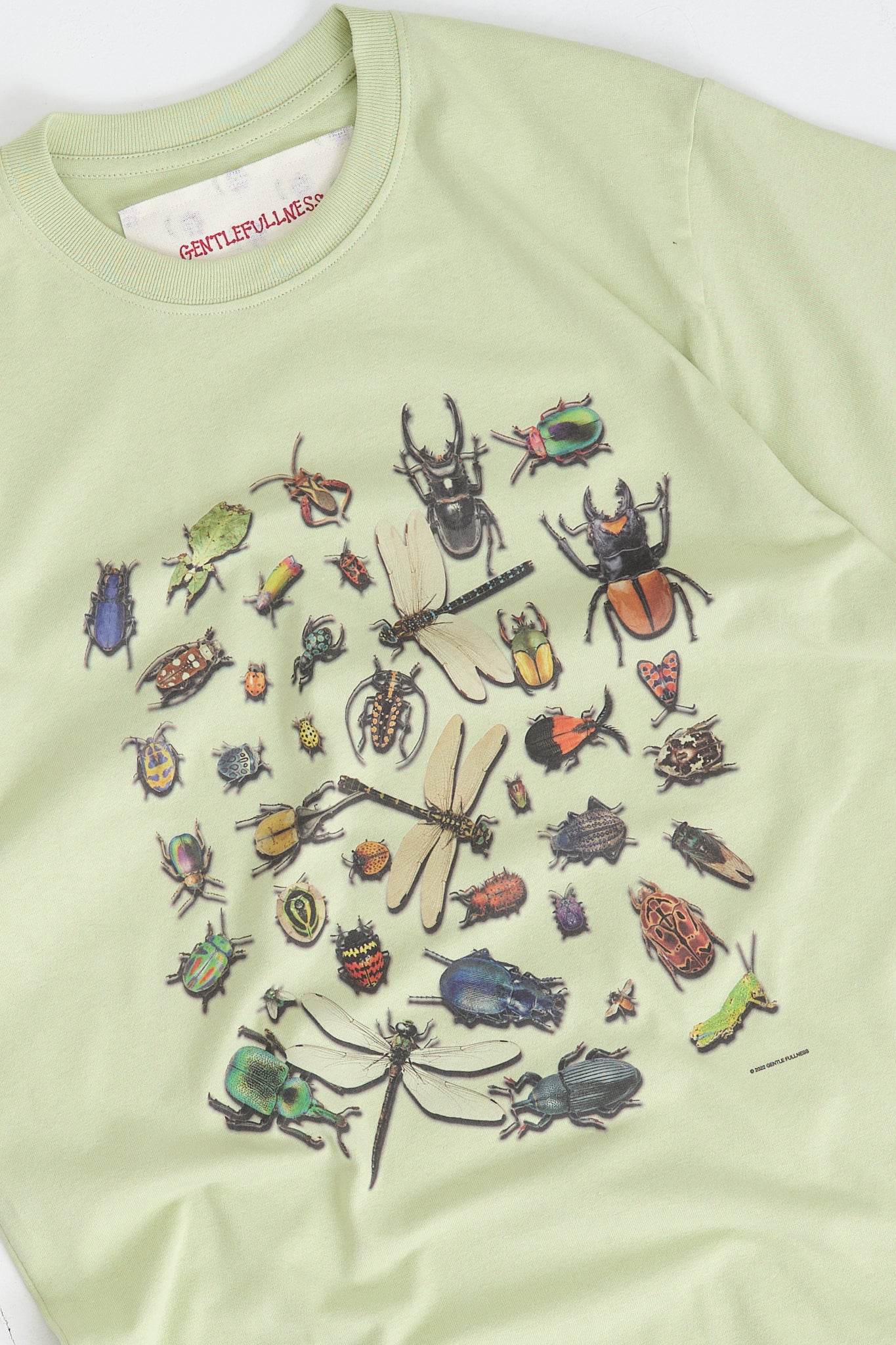 Recycled Cotton SS Tee - Pistachio Bugs