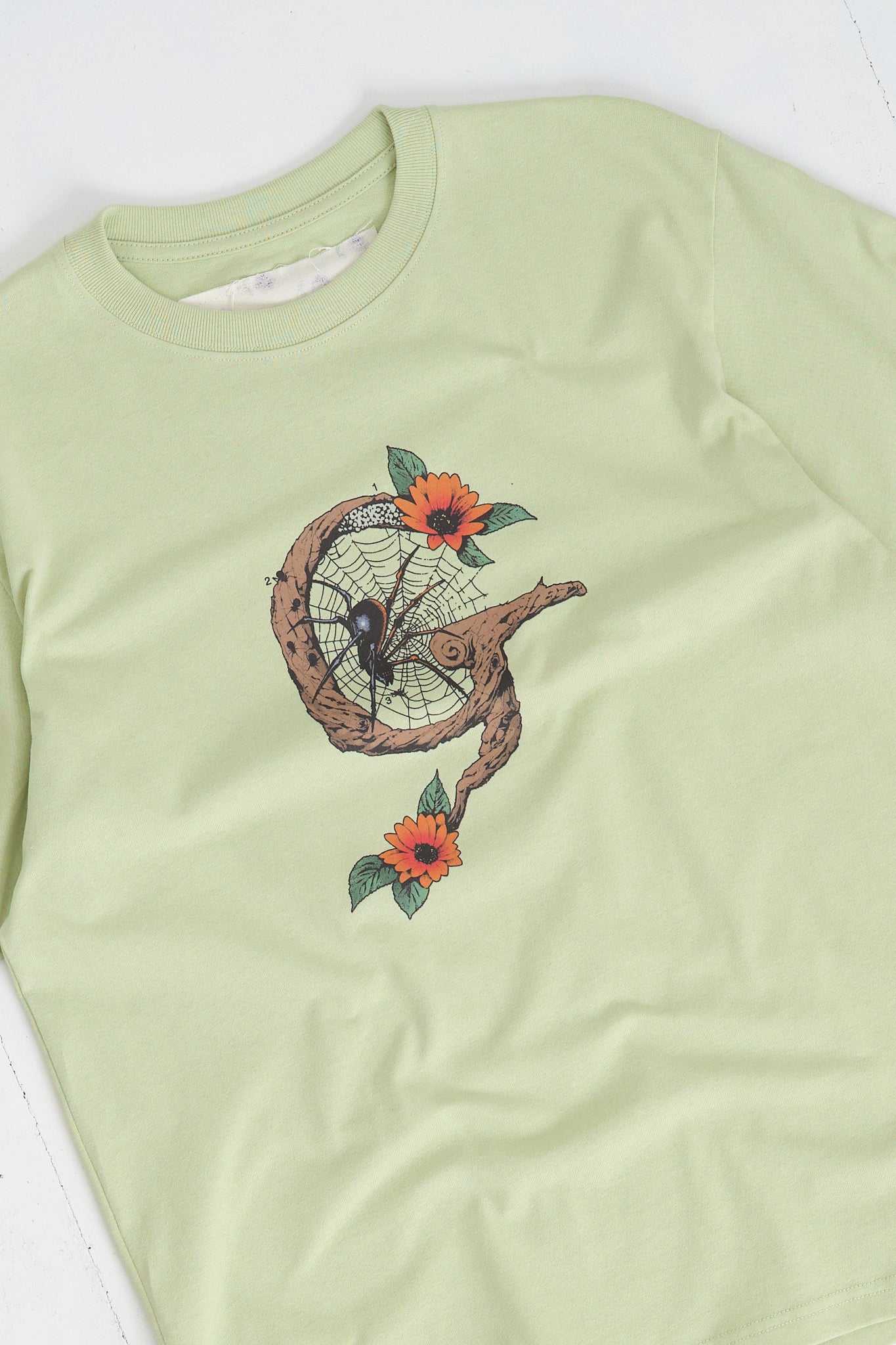Recycled Cotton SS Tee - Pistachio G Spider