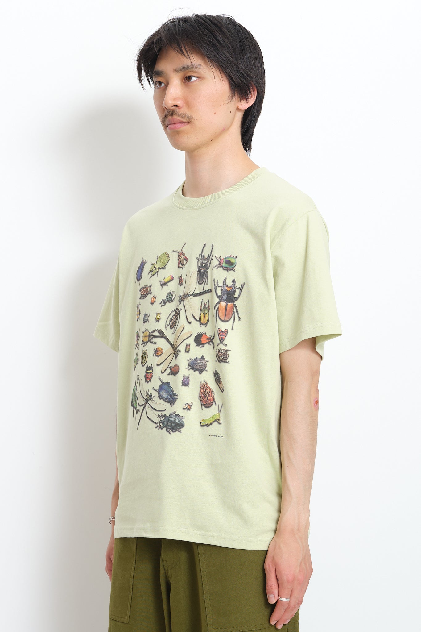 Recycled Cotton SS Tee - Pistachio Bugs