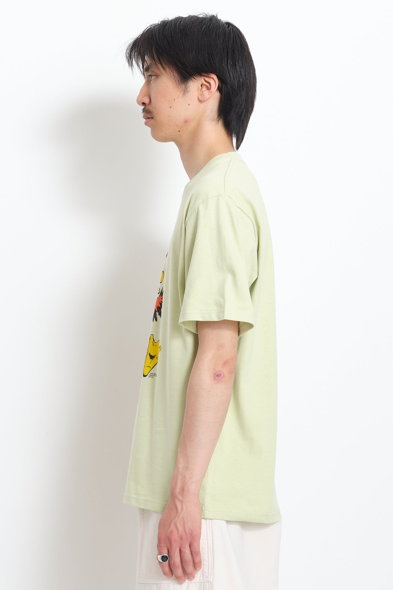 Story SS – Duckman Cotton Pistachio Recycled Tee -